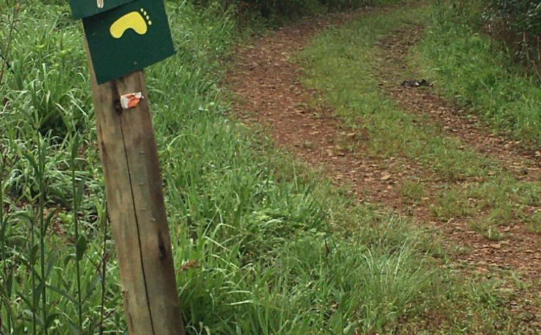 Loerie Hiking Trail Sabie Mpumalanga