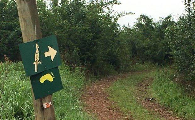 Loerie Hiking Trail Sabie Mpumalanga