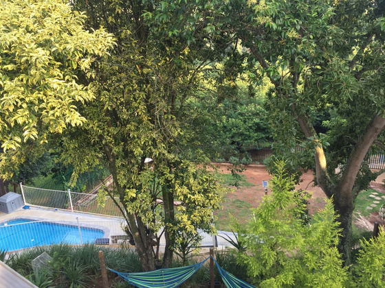 Pool view from Apartment B Pool view from Apartment B