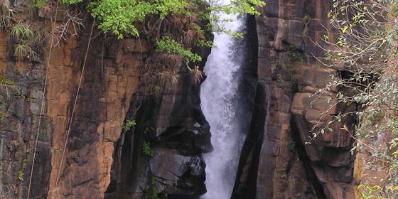 Sabie Falls