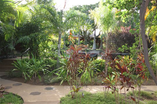 Garden, Lidiko Lodge