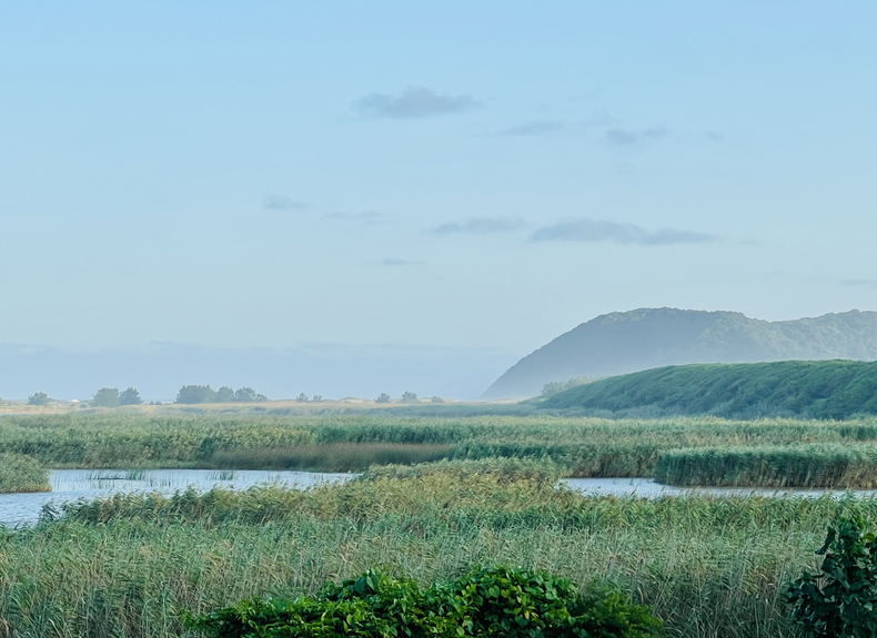 St Lucia, KZN, steeped in History and tales