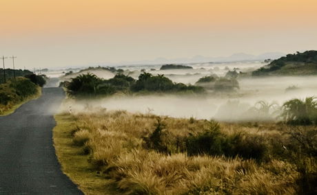 iSimanglaiso Wetland Park, the place of wonders captured at sunrise with a phone camera