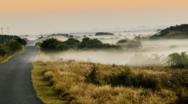 iSimanglaiso Wetland Park, the place of wonders captured at sunrise with a phone camera