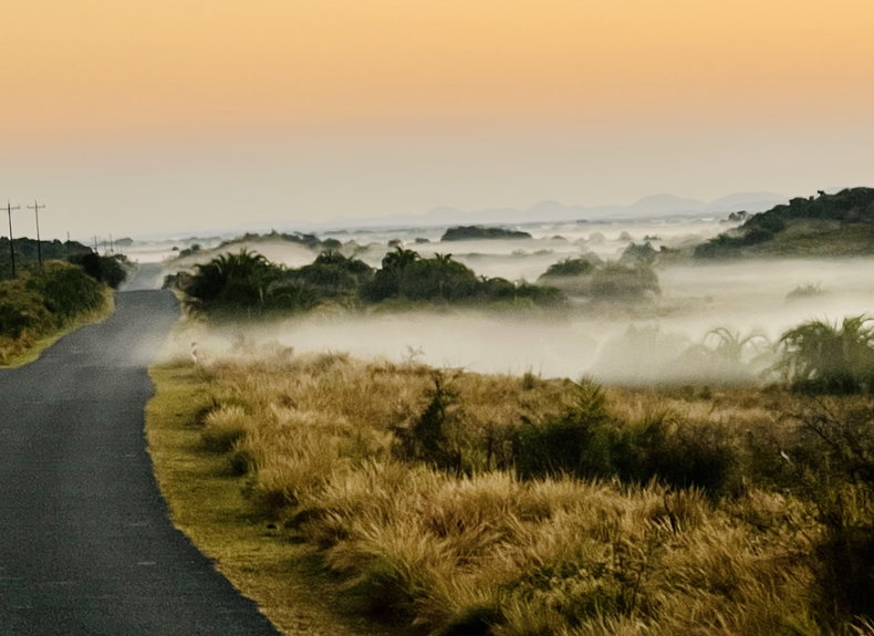 iSimanglaiso Wetland Park, the place of wonders captured at sunrise with a phone camera