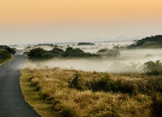 iSimanglaiso Wetland Park, the place of wonders captured at sunrise with a phone camera