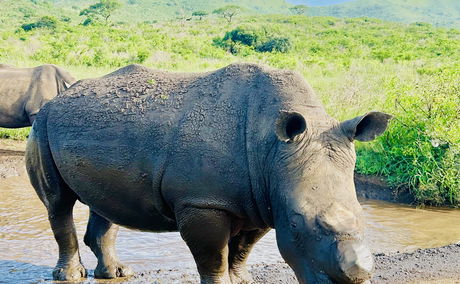 Precious time spent in St Lucia and surrounds promises to be extra rewarding