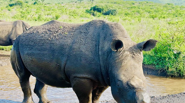 Precious time spent in St Lucia and surrounds promises to be extra rewarding