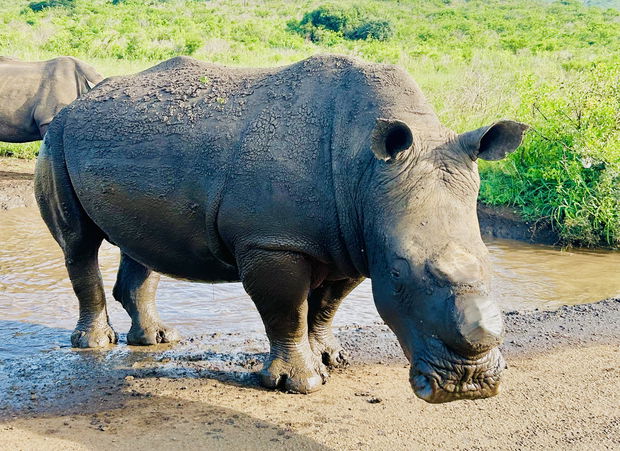 Precious time spent in St Lucia and surrounds promises to be extra rewarding