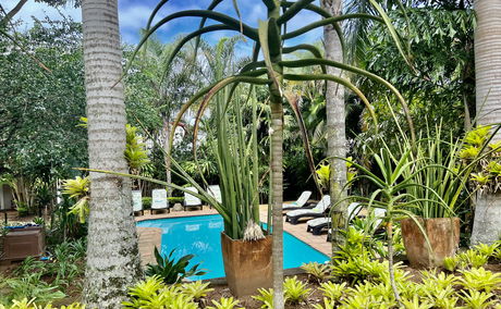 Evergreen, tropical conditions throughout winter. St Lucia, KZN, where winter is never truly felt. Image is of Lidiko Lodge's pool area