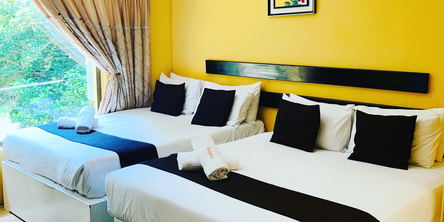 Quad Rooms