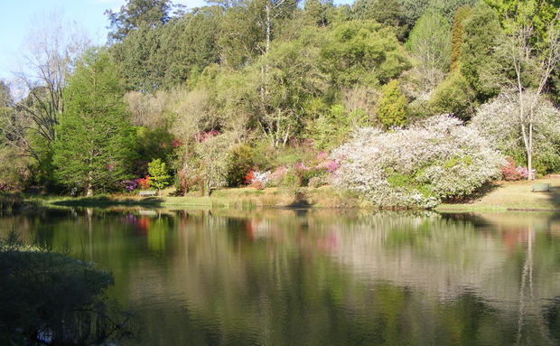 trout fishing in dam in magoebaskloof, limpopo in spring trout fishing in dam in magoebaskloof, limpopo in spring