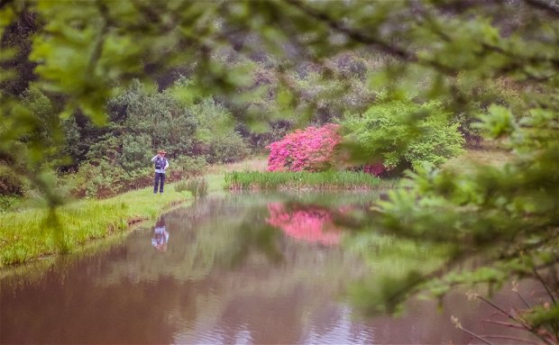 trout fishing in dam in magoebaskloof, limpopo in spring