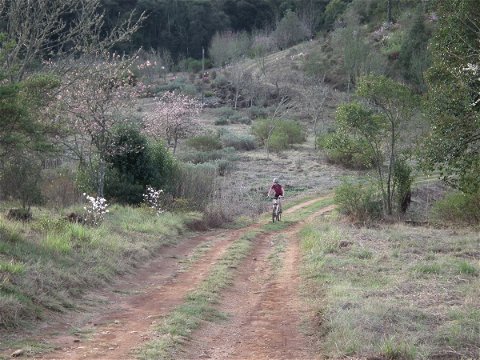 Mountain biking in the countryside