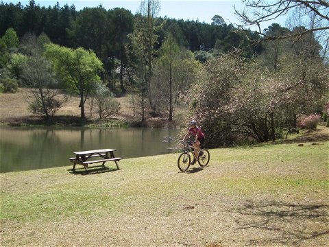 Mountain biking past trout dam