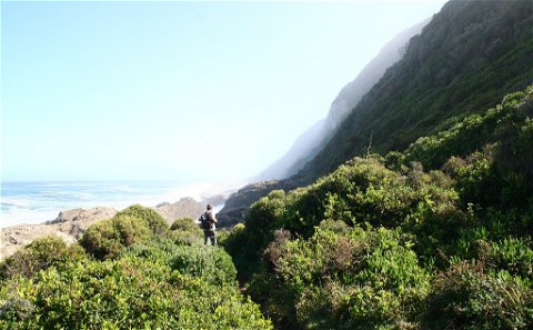 The Tsitsikamma Trail