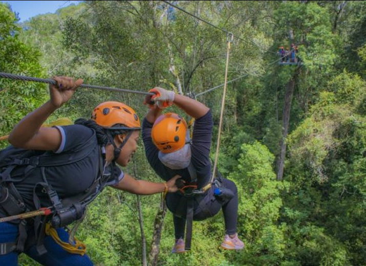 20% less for Tsitsikamma Canopy Tours