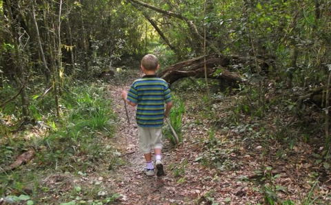Walking in Tsitsikamma