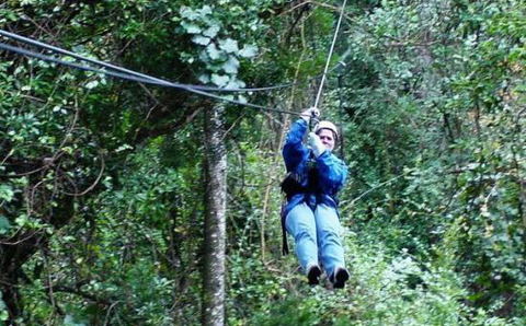 Tsitsikamma Garden Route Canopy Tours