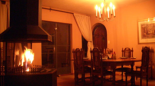 Fireplace at Treelands Castle