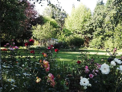 Treelands Estate Garden