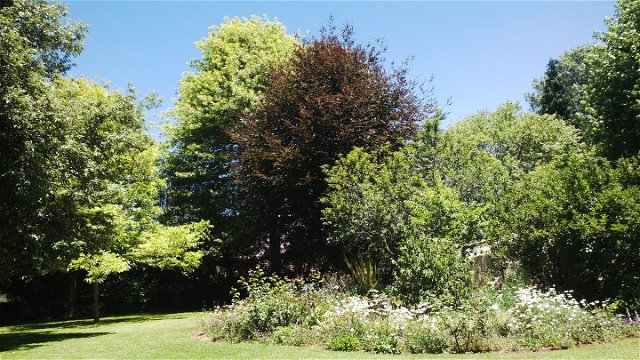 Treelands Estate