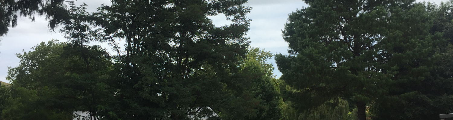 View treelands Abbey unit 6 and 7
