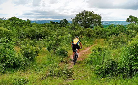 Wildlife Safari with Mountainbiking 
