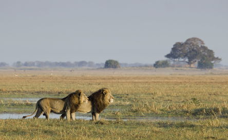 Kafue National Park From South to North