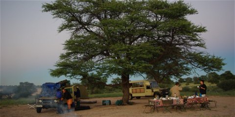 Zambia camping safaris 
