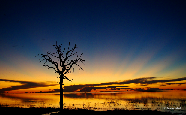 mobile safaris Zambia