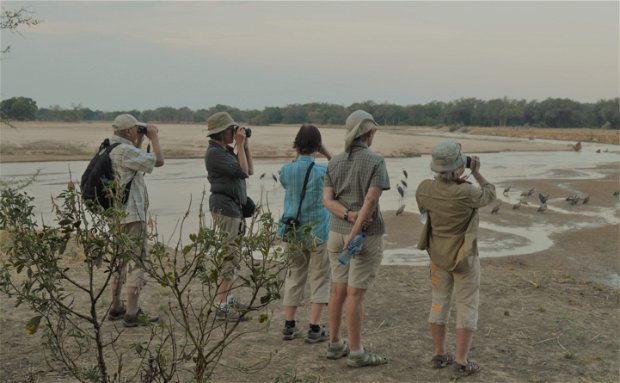 Walking Safari, affordable camping safari, exclusive campsites, Zambia