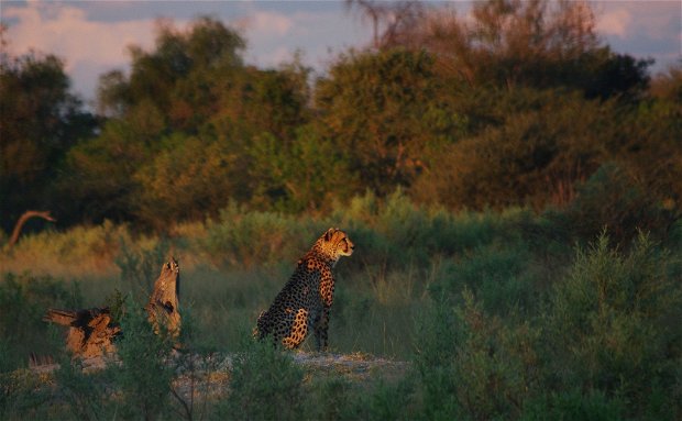 specialist mobile safaris Zambia 