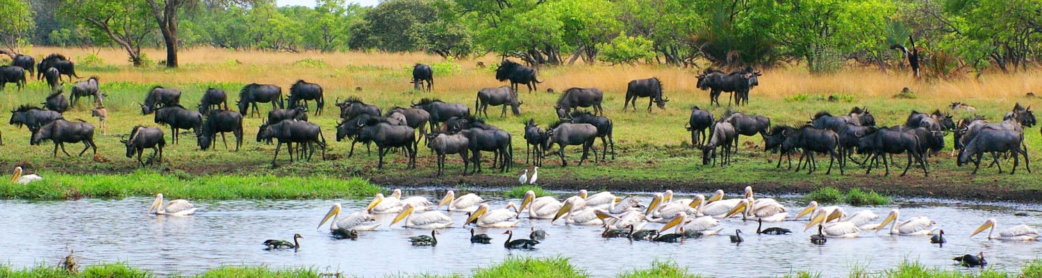 Liuwa Plains National Park 
