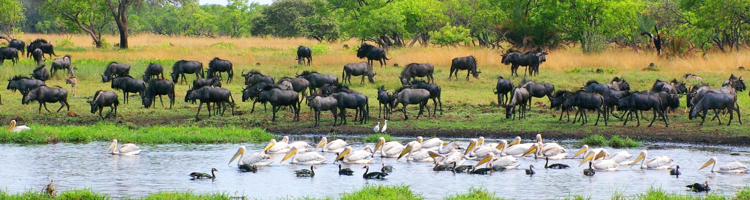 Liuwa Plains National Park 