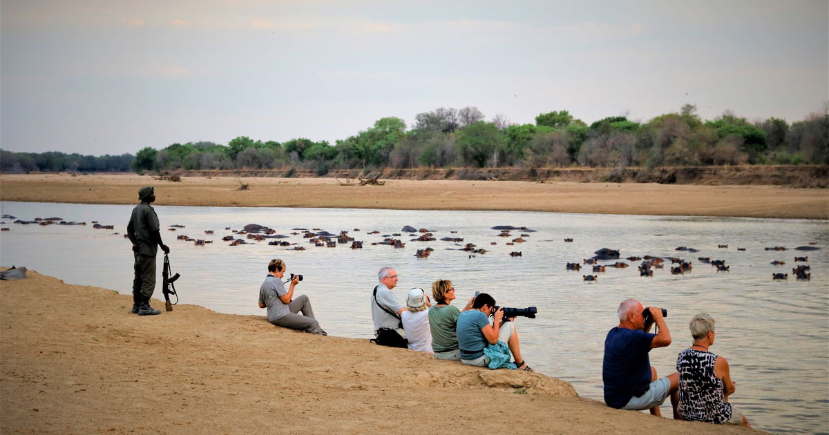 Fly-in Safaris, Lodge Safaris, Camping Safaris in Zambia. Walking safaris along the Luangwa river. South Luangwa National Park. North Luangwa National Park.