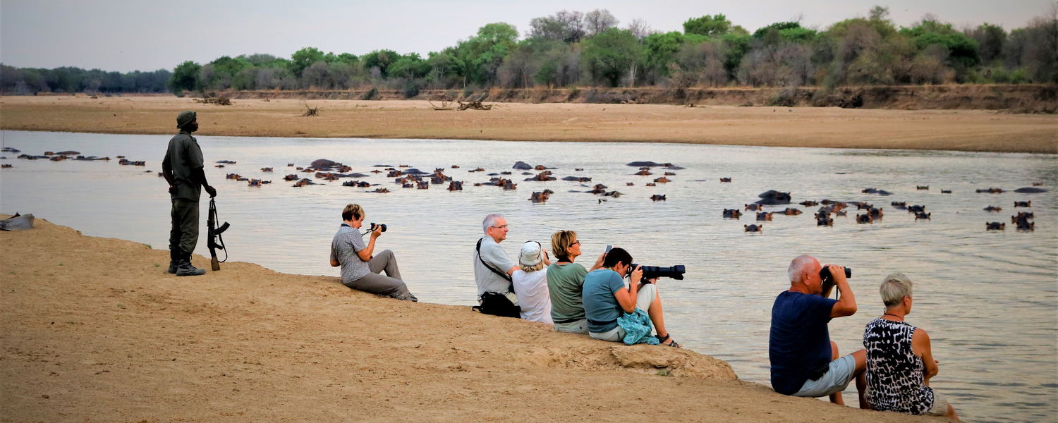 Fly-in Safaris, Lodge Safaris, Camping Safaris in Zambia. Walking safaris along the Luangwa river. South Luangwa National Park. North Luangwa National Park.