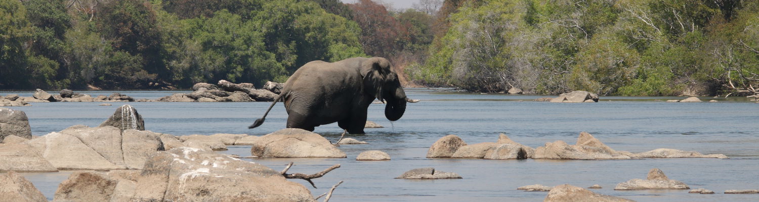 Kafue Camping Safari 