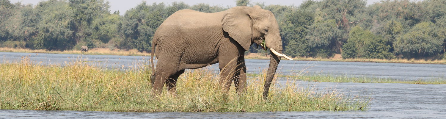 Zambezi Valley 
