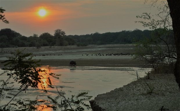 South Luangwa sunset