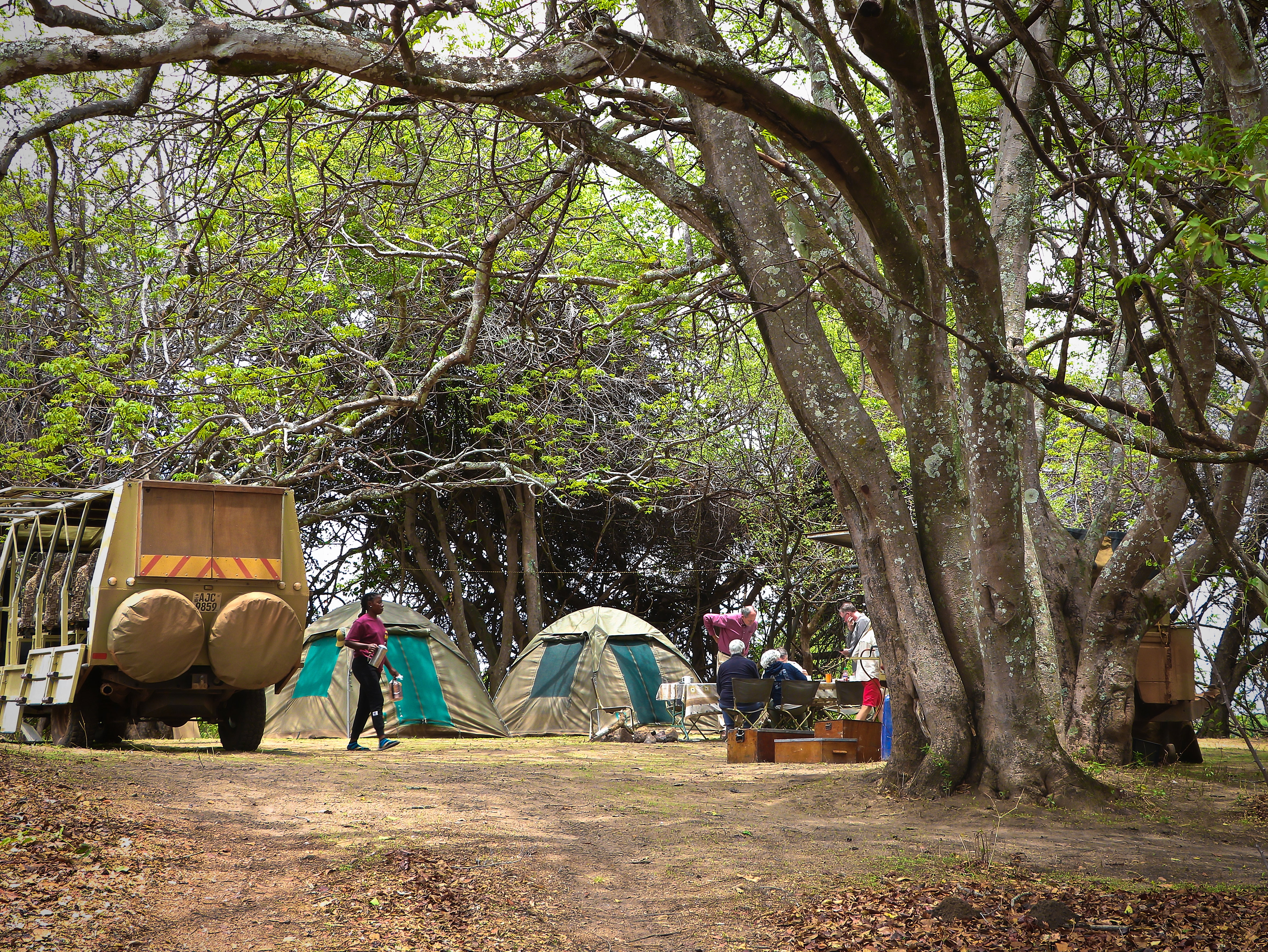 Budget Camping Safari Kafue 