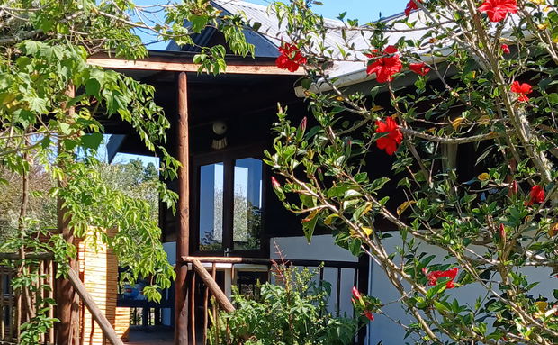 Moonrise cottage on the edge of a forest near knysna on a vegan forest getaway delicous vegan breakfasts and dinners, safe magical basexto eplorexthe stunning g natural world of the southern coast and indigenous forest, with kite surfing, mountain bikes trails, paragliding, surfing, kloofing, forest and mountain hikes, great restaurants, on the Rheenendal Road a quaint country road near Buffalo Bay and Phantom Pass 