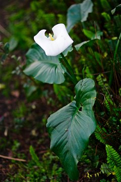 Let's start from the very beginning