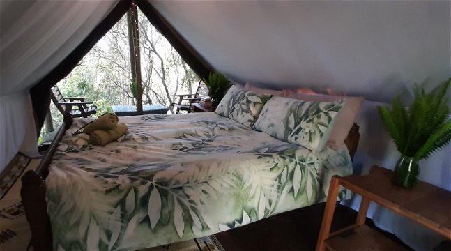 forest tent glamping in the forest near knysna in the garden route