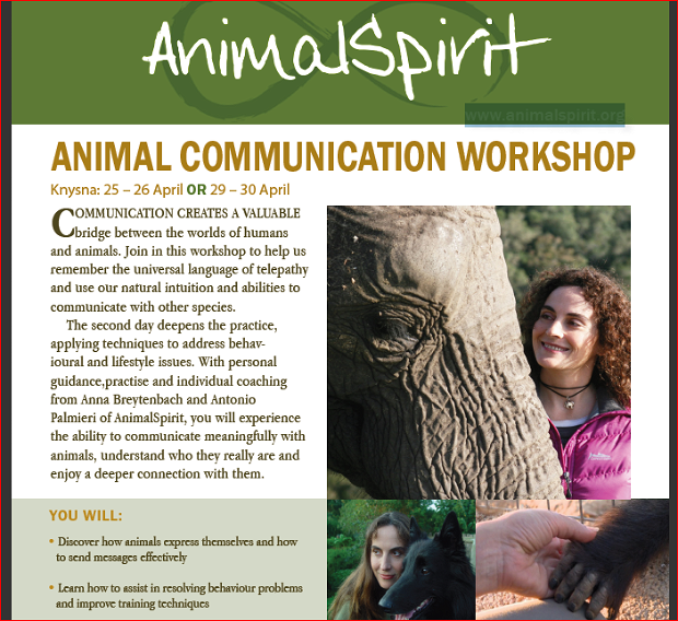 Animal Communication by Anna Breytenbach