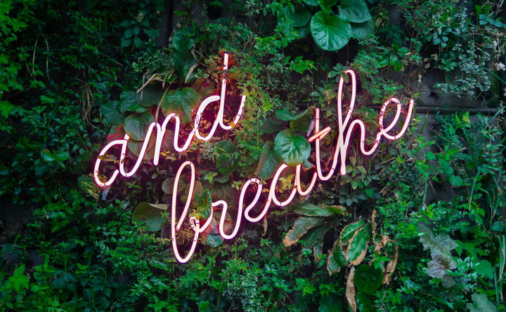 Breathwork, Breath work, healing through breath,inspire, release trauma