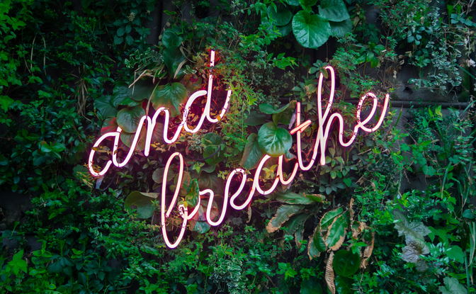 Breathwork, Breath work, healing through breath,inspire, release trauma