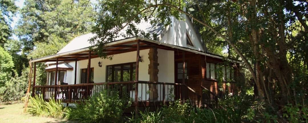Retreat House on Peace of Eden, Knysna, Garden Route, Vegan Lodge, Inspirational Breathwork, in Nature and forests and beaches, with many adventure activities 