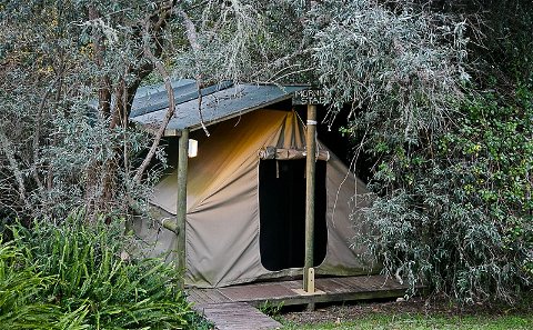 Forest tents for an eco experience that will make you want to stay longer.