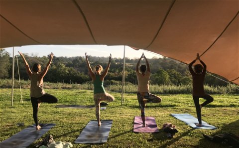 yoga on the forest edge, Yoga retreats, Qigong, healing retreats Knysna